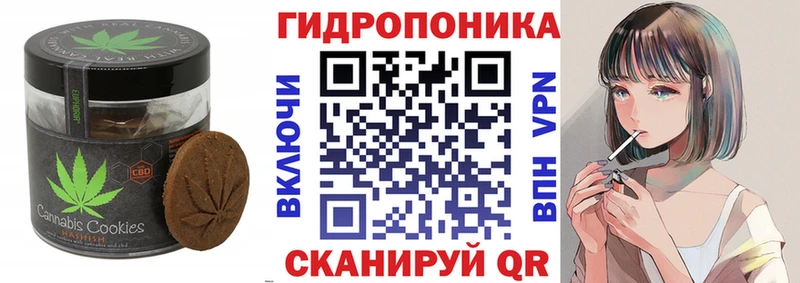 закладки  Шебекино  Печенье с ТГК конопля 