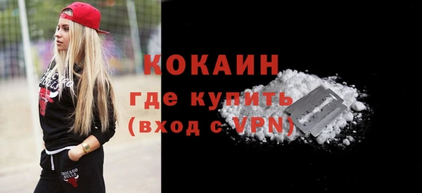 прущие грибы Порхов