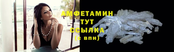 гашик Тайга