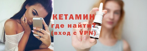 гашик Тайга