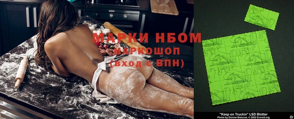 гашик Тайга
