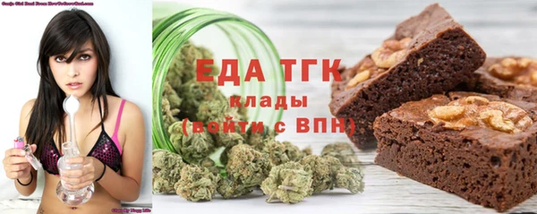 гашик Тайга
