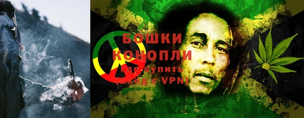 гашик Тайга