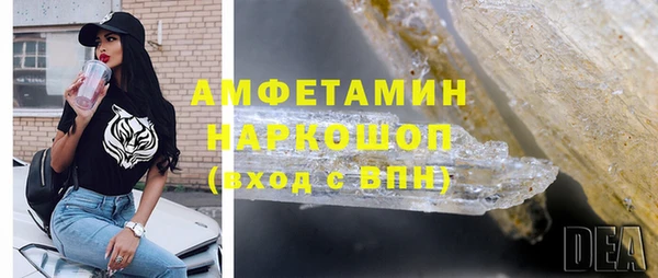 гашик Тайга