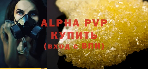 прущие грибы Порхов
