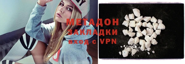 прущие грибы Порхов