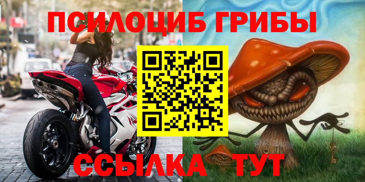 Псилоцибиновые грибы Psilocybe Шебекино
