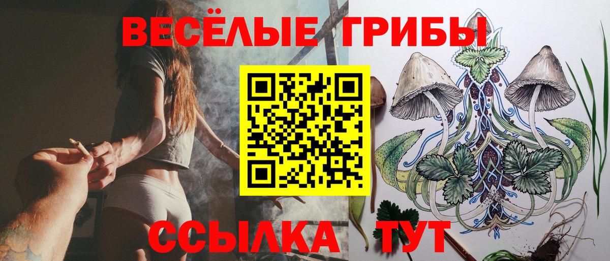 Псилоцибиновые грибы мицелий  Вход с VPN  Галлюциногенные грибы Cubensis  Шебекино 