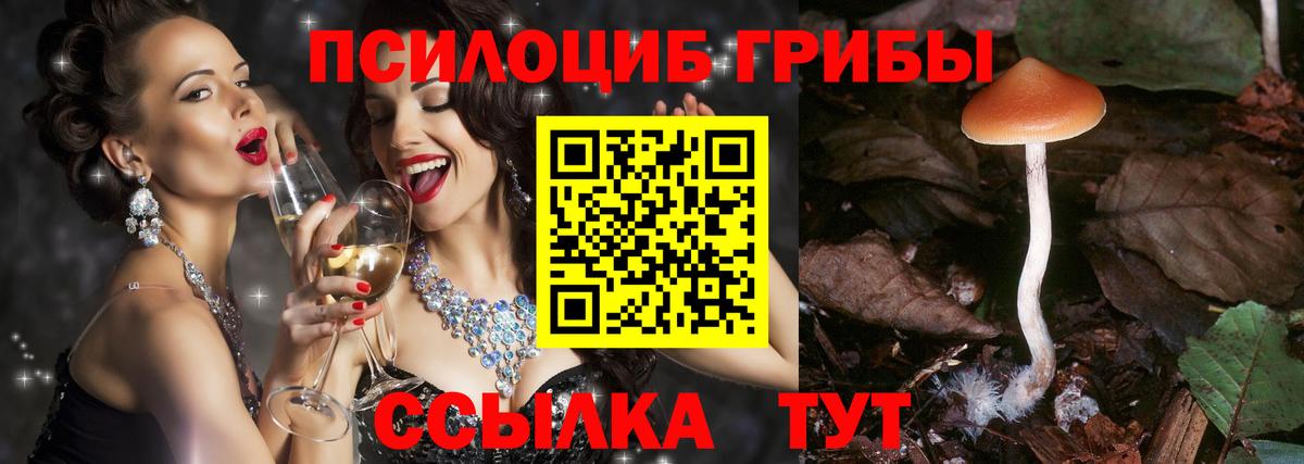 Галлюциногенные грибы ЛСД Шебекино