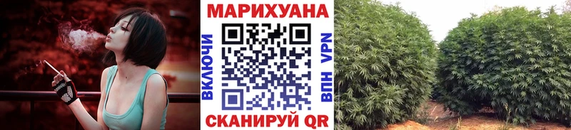 где продают наркотики  МЕГА рабочий сайт  МАРИХУАНА сатива  Шебекино 